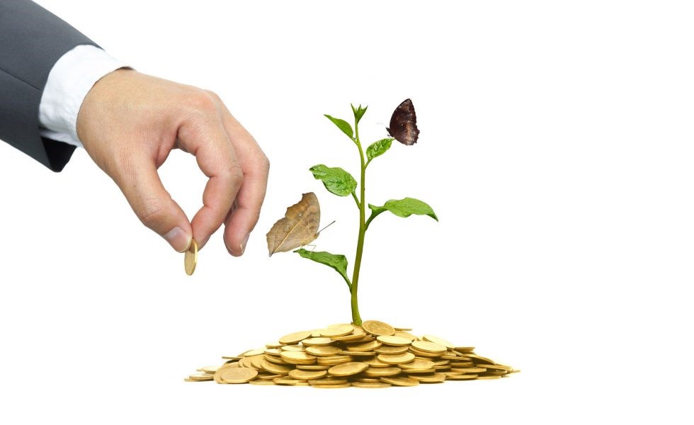  Return On Investment Per Year Calculator